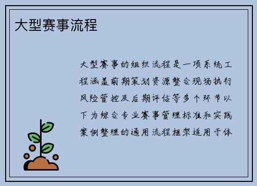 大型赛事流程